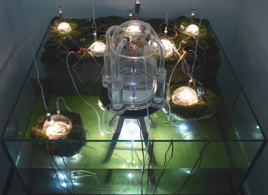 'Networking Nature' Installation (1)