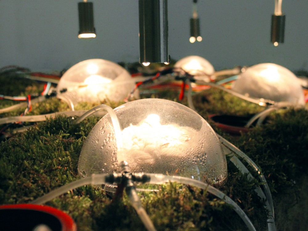 ‘Networking Nature’ Installation / Studiomobile