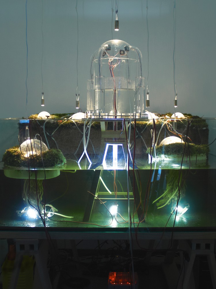 ‘Networking Nature’ Installation / Studiomobile