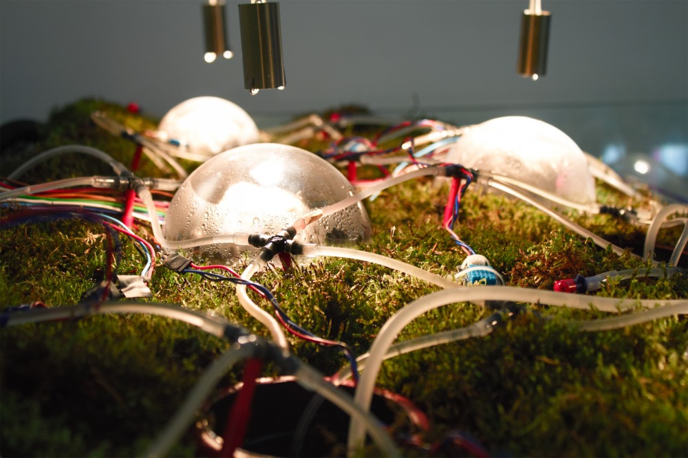 ‘Networking Nature’ Installation / Studiomobile