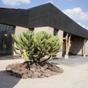 Studio House Sabinos / Juan Carlos Loyo Arquitectura © Juan Carlos Loyo