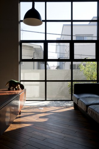 Skate Park House / LEVEL Architects