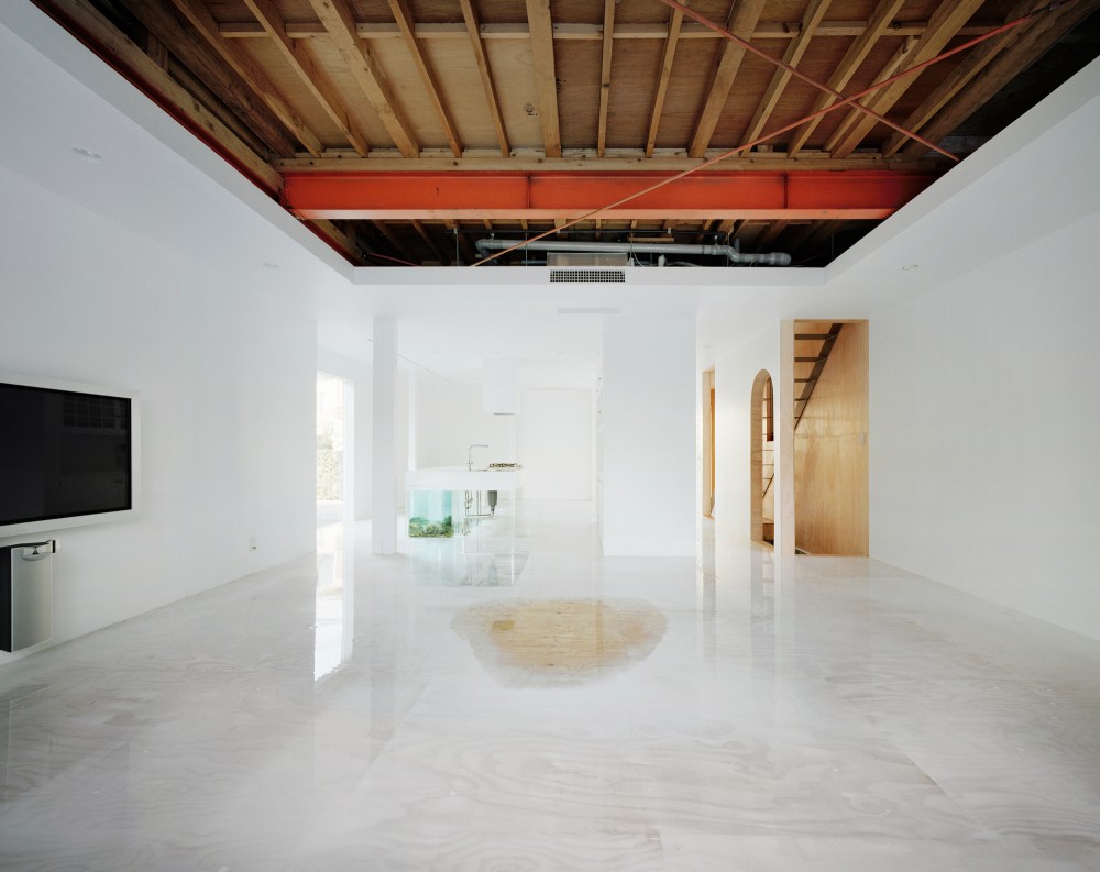 House in Okusawa / Schemata Architects