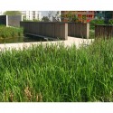 Jardin Serge Gainsbourg / Matthieu Gelin & David Lafon Architecte Jardin Serge Gainsbourg / Matthieu Gelin & David Lafon Architecte © Nicolas Waltefaugle