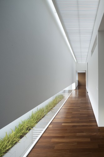 FF House / Hernandez Silva Arquitectos