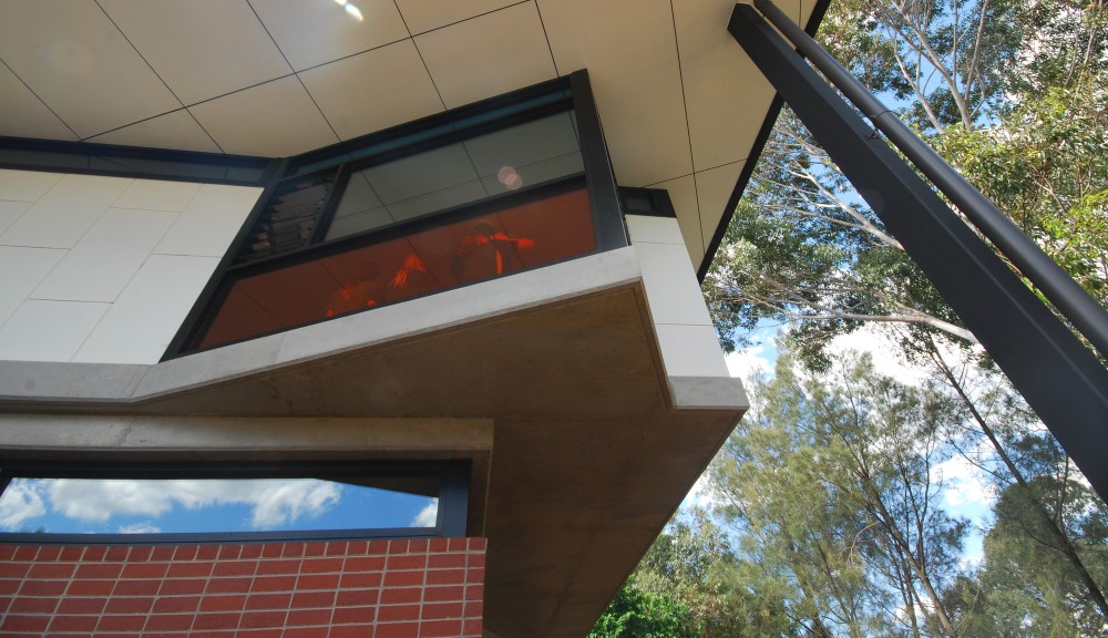 Flemington Primary School / Maddison Architects