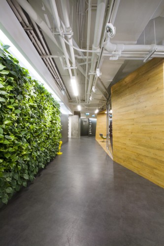 Badoo Development Office / za bor Architects