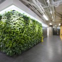 Badoo Development Office / za bor Architects Badoo Development Office / za bor Architects Courtesy of za bor Architects