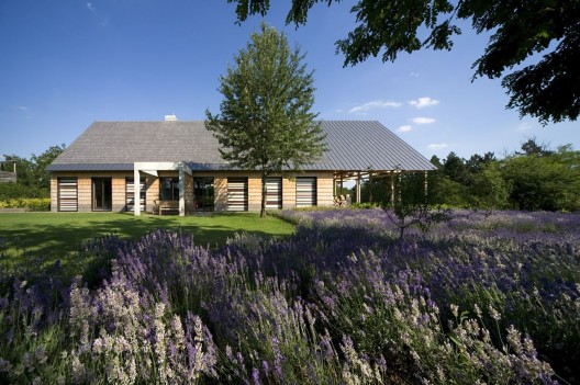 H House / Budapesti Műhely