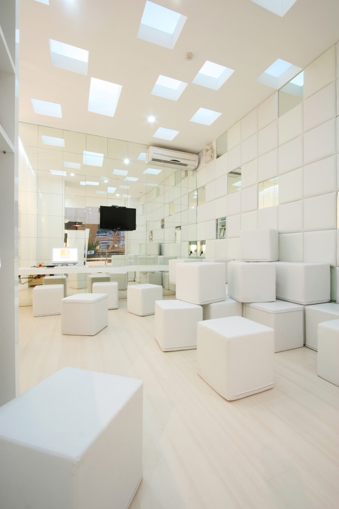 Dental Bliss / Integrated Field