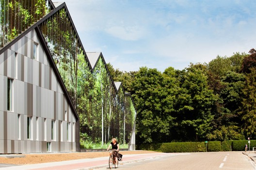 Academie MWD Dilbeek / Carlos Arroyo