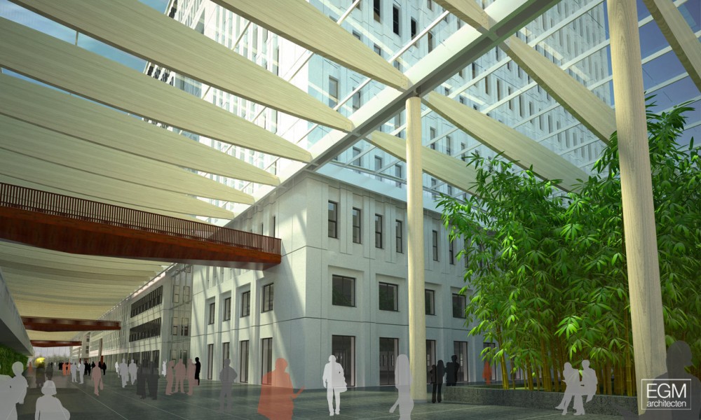 In Progress: Erasmus MC / EGM architecten