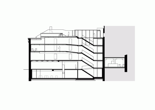 Longitudinal Section
