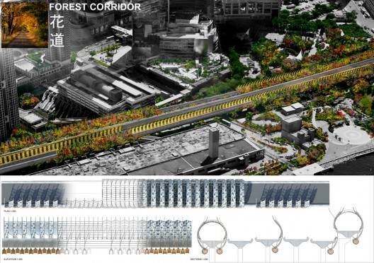 Forest Corridor – Highway Noise Barrier (2)
