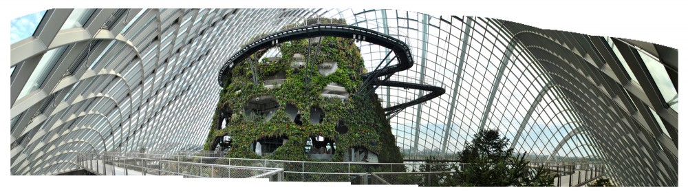 World Architecture Festival announces the World Building of the Year 2012 / Cooled Conservatories at Gardens by the Bay