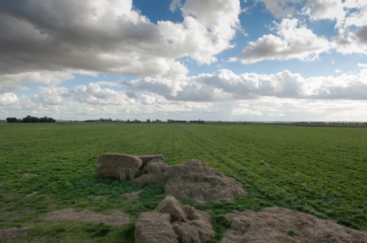 RIBA Design Ideas Competition: Great Fen Visitor Centre
