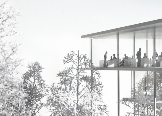 Above the trees