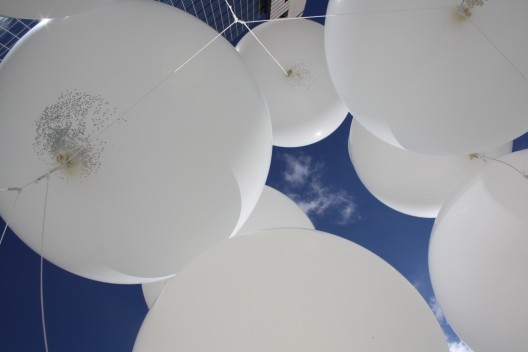 ‘Embryonic Canopy’ Exhibition for the Sukkahville Design Competition (5)