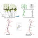 Collserola Park Competition Entry (13) Collserola Park Competition Entry (13) diagram 01