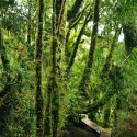 House In The Patagonia Fjords / Armando Montero + Samuel Bravo House In The Patagonia Fjords / Armando Montero + Samuel Bravo © Samuel Bravo