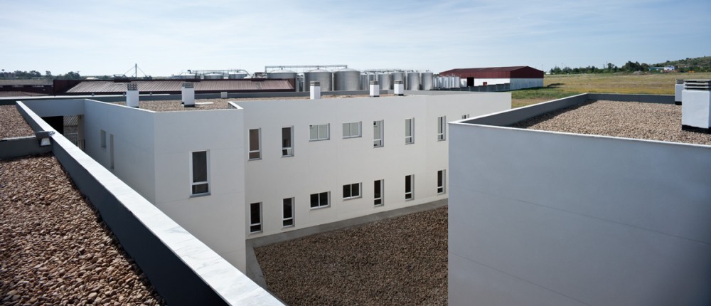 40 Homes, Maimona Saints / GAas architecture studio