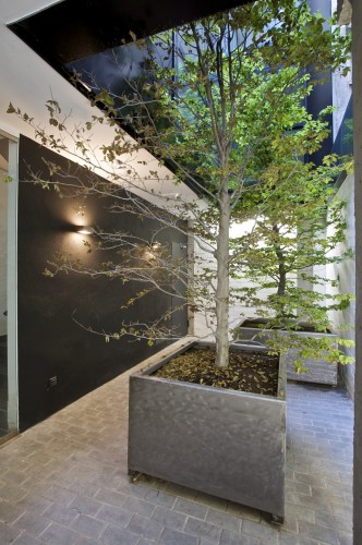 San Vicente Ferrer / James & Mau 10