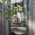 The house in the thicket / Kasper Bonna Lundgaard M.Arch The house in the thicket / Kasper Bonna Lundgaard M.Arch Courtesy of Kasper Bonna Lundgaard