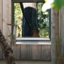 The house in the thicket / Kasper Bonna Lundgaard M.Arch The house in the thicket / Kasper Bonna Lundgaard M.Arch Courtesy of Kasper Bonna Lundgaard