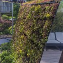 Garden studio in Amsterdam Watergraafsmeer / CC-Studio Garden studio in Amsterdam Watergraafsmeer / CC-Studio © John Lewis Marshall