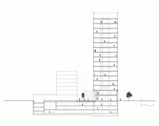 Section