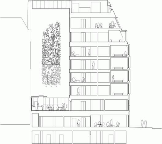 Cross Section