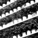 ARBRE / ETB Studio Concept