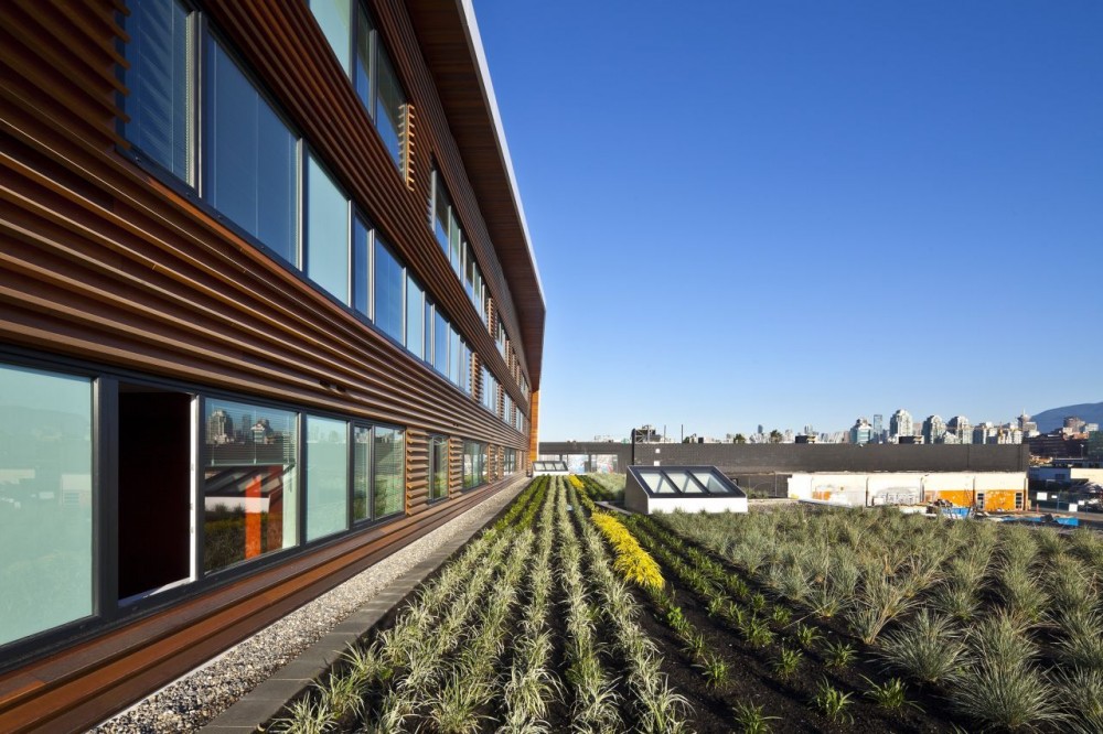 Centre for Digital Media / Musson Cattell Mackey Partnership Architects