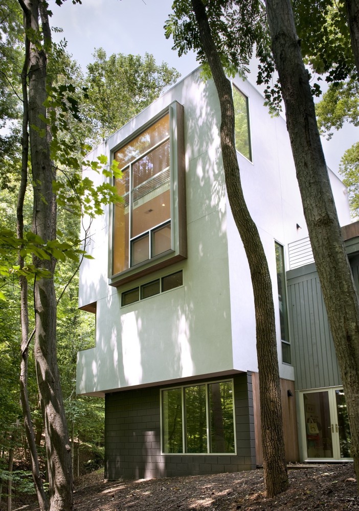 Forest House / Kube Architecture