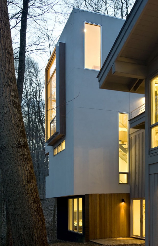 Forest House / Kube Architecture