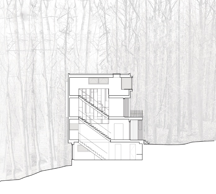 Forest House / Kube Architecture