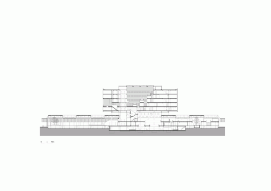 Section