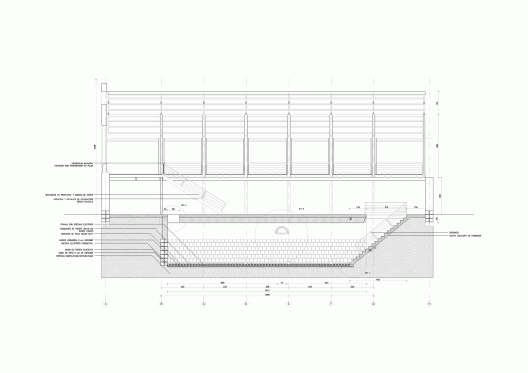 Longitudinal Section