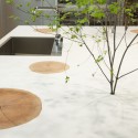 Hue Plus / Schemata Architects © Takumi Ota