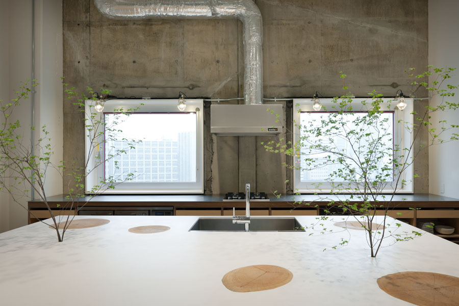 Hue Plus / Schemata Architects