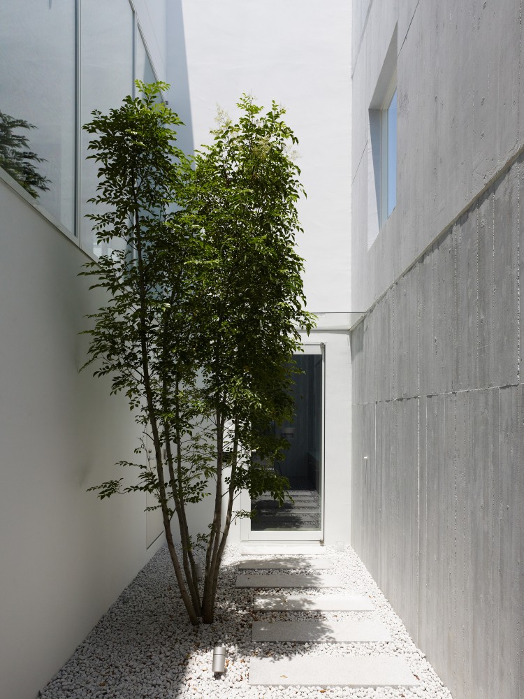 Takanawa House / Hiroyuki Ito + O.F.D.A.