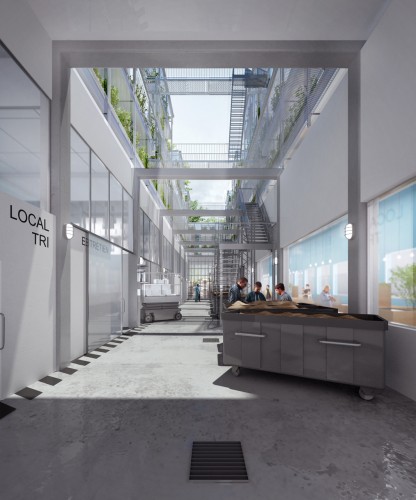 Ferme Darwin Proposal (4)