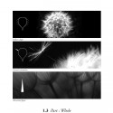 'NAWT Balloons' Land Art Generator Initiative Competition Entry (4) 'NAWT Balloons' Land Art Generator Initiative Competition Entry (4) Scalar Vignettes
