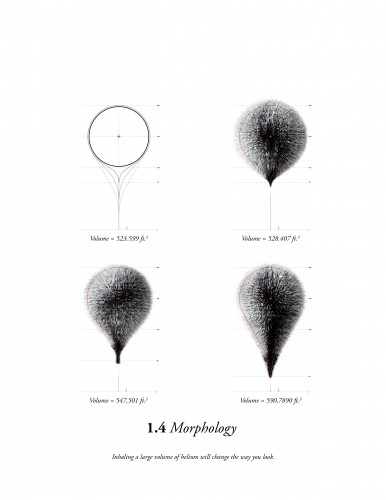 'NAWT Balloons' Land Art Generator Initiative Competition Entry (5)