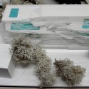 New Paracelsus Spa and Pools in Salzburg Winning Proposal (5) model / © HMGB Architects