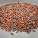 "Ai Weiwei: According to What?" (3) "Ai Weiwei: According to What?" (3) Ai Weiwei, He Xie, 2010–. Collection of the artist. Photo: Cathy Carver.