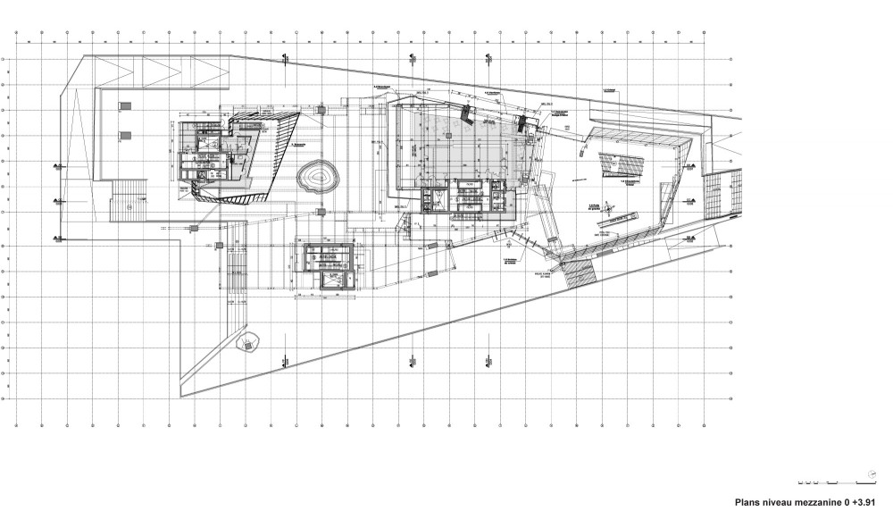 In Progress: Musée des Confluences / Coop Himmelb(l)au