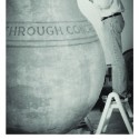 Save the Prentice Wrecking Ball: The Monument to Bruce (7) Courtesy of Design With Company