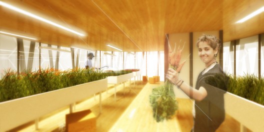 Solar Towers Proposal (5)