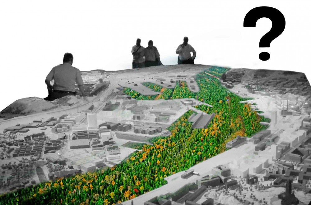 Active Cranes Research Proposal / JAPA